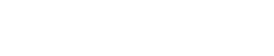 Logotipo de Shopify Plus, relacionado con agencia Shopify y desarrollo Shopify.